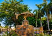 Lakhota Palace & Museum Jamnagar | History, Timings & Visitor Guide