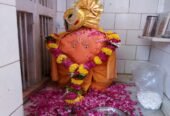 Siddhnath Mahadev Temple Jamnagar | Timings, History & Visitor Guide